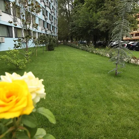 Delfin 3* Мамая